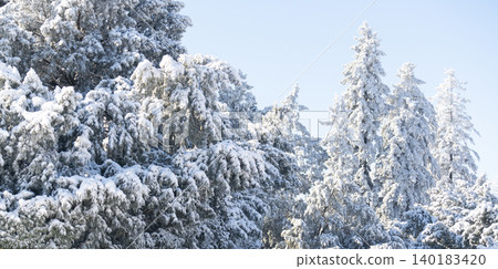 Snow covered trees. Winter forest.. 140183420