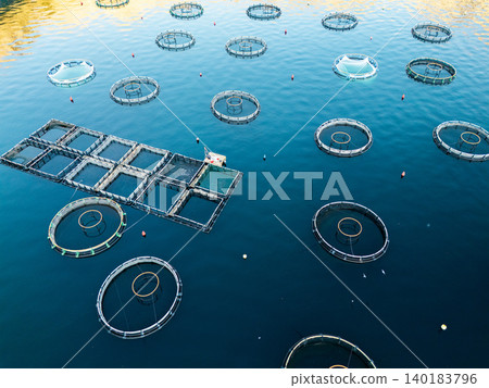 Aerial view of a fish farm located in a calm coastal bay, with floating cages arranged on the water surface. 140183796
