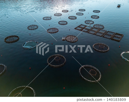 Aerial view of a fish farm located in a calm coastal bay, with floating cages arranged on the water surface. 140183809