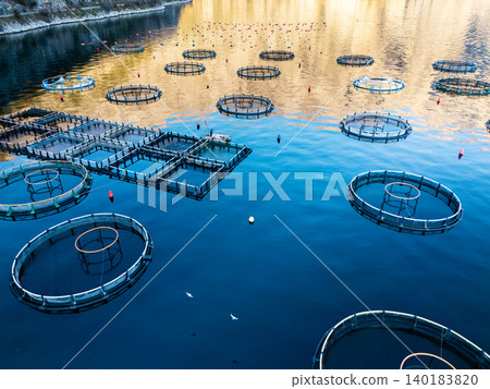 Aerial view of a fish farm located in a calm coastal bay, Aerial view of a fish farm located in a calm coastal bay, 140183820