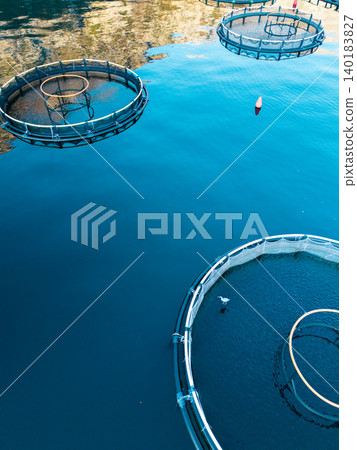 Aerial view of a fish farm located in a calm coastal bay, with floating cages arranged on the water surface. Aerial view of a fish farm located in a calm coastal bay, with floating cages arranged on the water surface. 140183827