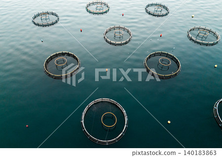 Aerial view of a fish farm located in a calm coastal bay, with floating cages arranged on the water surface. Aerial view of a fish farm located in a calm coastal bay, with floating cages arranged on the water surface. 140183863
