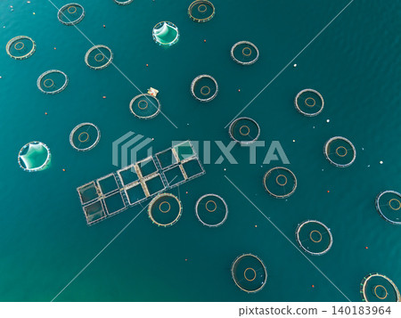 Aerial view of a fish farm with floating cages arranged on the water surface. Modern aquaculture and sustainable seafood production. Aerial view of a fish farm with floating cages arranged on the water surface. Modern aquaculture and sustainable seafood production. 140183964