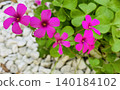 苜 140184102