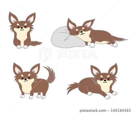 Cute Chihuahua Pose Set Cute Chihuahua Pose Set 140184383