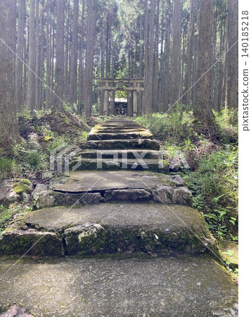 通往神社的神秘之路,以長滿青苔的石階為標誌,通往一片雪松林和一座鳥居。 通往神社的神秘之路,以長滿青苔的石階為標誌,通往一片雪松林和一座鳥居。 140185218