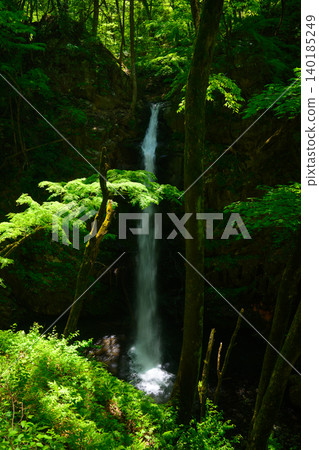 A vertical photograph of Fudo Falls amidst the fresh greenery. 140185249