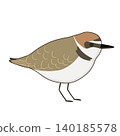 Kentish plover (summer plumage) 140185578