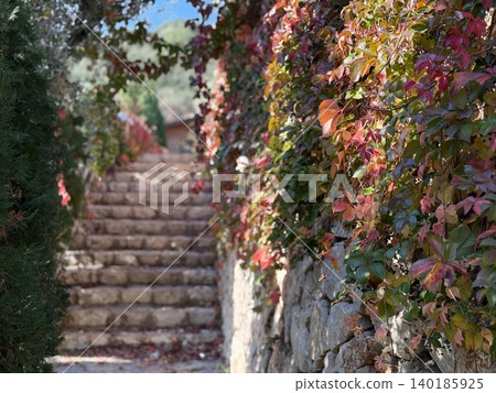 Autumn leaves on stone wall pathway with steps, creating a natural seasonal background Autumn leaves on stone wall pathway with steps, creating a natural seasonal background 140185925