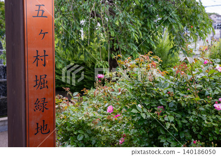 Ikuta Ryokuchi Rose Garden Access Road 140186050