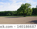 Shadow of a large tree in the field 140186687