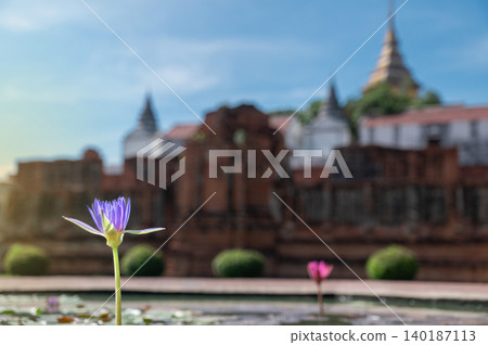 Pink Lotus Ancient Thai Temple, Historic Ruins Ayutthaya Background, Traditional Thailand Travel Backdrop Pink Lotus Ancient Thai Temple, Historic Ruins Ayutthaya Background, Traditional Thailand Travel Backdrop 140187113