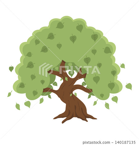 Sacred Bodhi Tree With Lush Green Leaves Sacred Bodhi Tree With Lush Green Leaves 140187135