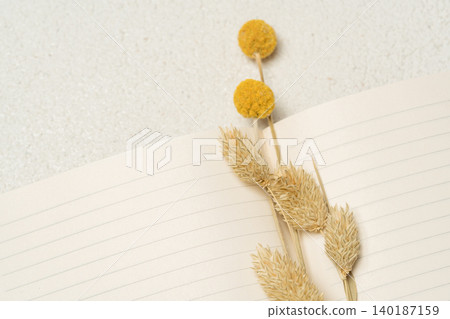 Soft boho-style flat lay composition featuring golden dried billy balls flowers and pampas grass stems arranged on an open lined notebook against a light textured background. Soft boho-style flat lay composition featuring golden dried billy balls flowers and pampas grass stems arranged on an open lined notebook against a light textured background. 140187159