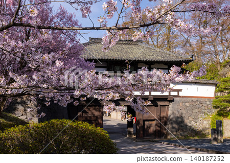 長野縣小諸市:三之門,國家重要文化財產;以及小諸城所在地開光園盛開的染井吉野櫻花,是著名的賞櫻勝地。 長野縣小諸市:三之門,國家重要文化財產;以及小諸城所在地開光園盛開的染井吉野櫻花,是著名的賞櫻勝地。 140187252