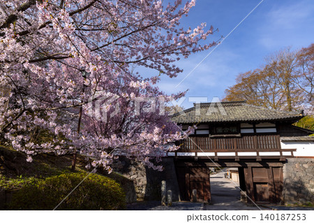 Komoro City, Nagano Prefecture: The San-no-mon Gate, a nationally important cultural property, and the fully bloomed Somei Yoshino cherry trees at Kaikoen, the site of Komoro Castle, a famous cherry blossom viewing spot. Komoro City, Nagano Prefecture: The San-no-mon Gate, a nationally important cultural property, and the fully bloomed Somei Yoshino cherry trees at Kaikoen, the site of Komoro Castle, a famous cherry blossom viewing spot. 140187253