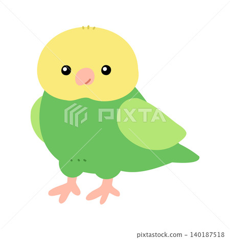 A cute illustration of a budgie with a beautiful green body (vector). A cute illustration of a budgie with a beautiful green body (vector). 140187518