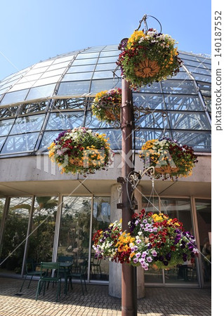 東京江東區夢之島熱帶植物園景色 東京江東區夢之島熱帶植物園景色 140187552