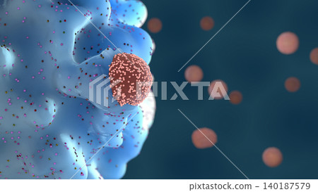 Phagocyte engulfing a virus particle, defending the body by removing pathogens and supporting immunity - 3d illustration Phagocyte engulfing a virus particle, defending the body by removing pathogens and supporting immunity - 3d illustration 140187579
