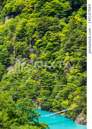 A dream suspension bridge in the fresh greenery 140187664