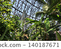 Landscape with tropical plants 140187671