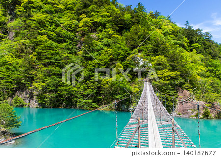 A dream suspension bridge in the fresh greenery A dream suspension bridge in the fresh greenery 140187677