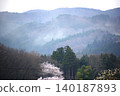 風吹散花粉的景象。 140187893