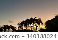 棕櫚樹在夕陽中染紅 140188024