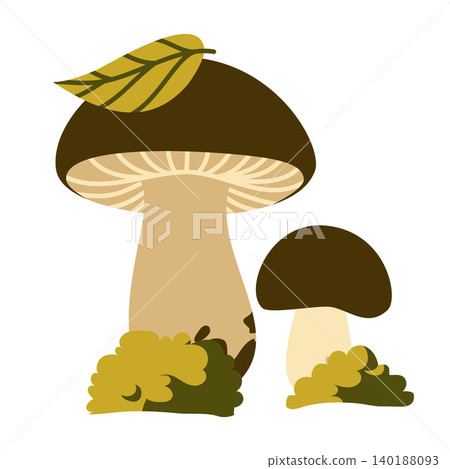 Brown Porcini Mushrooms Vector Illustration Flat Geometric Forest Element Brown Porcini Mushrooms Vector Illustration Flat Geometric Forest Element 140188093