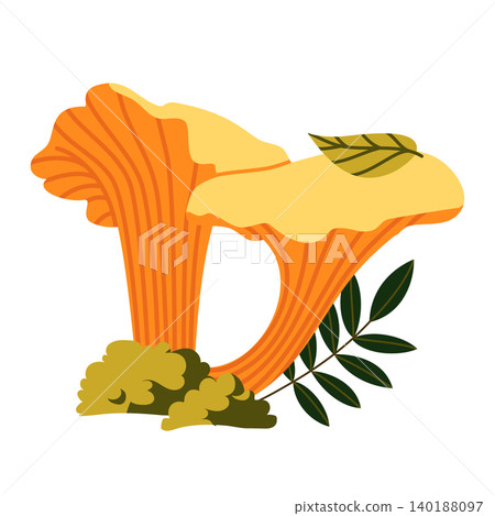 Yellow Chanterelle Mushrooms Vector Illustration Flat Geometric Forest Element Yellow Chanterelle Mushrooms Vector Illustration Flat Geometric Forest Element 140188097