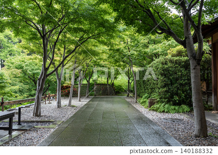 Wet Stone Pathway in a Japanese Garden After Rain Wet Stone Pathway in a Japanese Garden After Rain 140188332