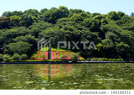 Rengeji Pond Park, Rengeji Pond, Fujieda City, Shizuoka Prefecture, Tokai Region, A paradise of flowers, water, birds, and smiles, Lotus, Rengejiike Rengeji Pond Park, Rengeji Pond, Fujieda City, Shizuoka Prefecture, Tokai Region, A paradise of flowers, water, birds, and smiles, Lotus, Rengejiike 140188351