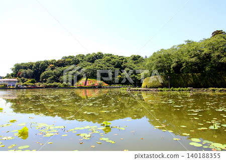 蓮華寺池公園,蓮華寺池,靜岡縣藤枝市,東海地區,花、水、鳥、笑的天堂,蓮花,蓮花池 蓮華寺池公園,蓮華寺池,靜岡縣藤枝市,東海地區,花、水、鳥、笑的天堂,蓮花,蓮花池 140188355