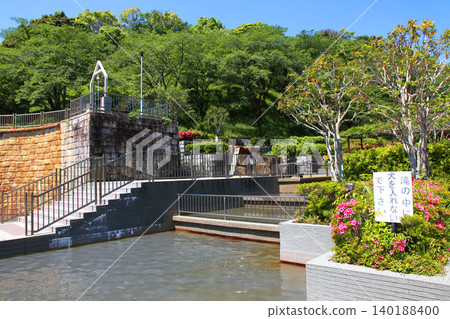 Rengeji Pond Park, Rengeji Pond, Fujieda City, Shizuoka Prefecture, Tokai Region, A paradise of flowers, water, birds, and smiles, Lotus, Rengejiike Rengeji Pond Park, Rengeji Pond, Fujieda City, Shizuoka Prefecture, Tokai Region, A paradise of flowers, water, birds, and smiles, Lotus, Rengejiike 140188400