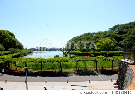 Rengeji Pond Park, Rengeji Pond, Fujieda City, Shizuoka Prefecture, Tokai Region, A paradise of flowers, water, birds, and smiles, Lotus, Rengejiike Rengeji Pond Park, Rengeji Pond, Fujieda City, Shizuoka Prefecture, Tokai Region, A paradise of flowers, water, birds, and smiles, Lotus, Rengejiike 140188415