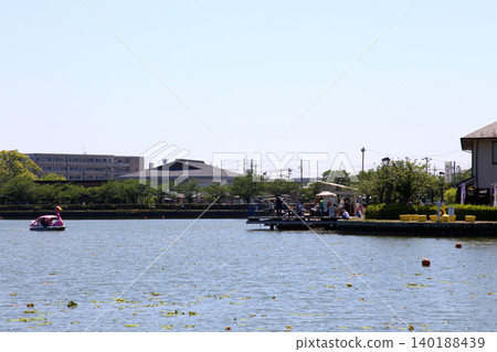 蓮華寺池公園,蓮華寺池,靜岡縣藤枝市,東海地區,花、水、鳥、笑的天堂,蓮花,蓮花池 蓮華寺池公園,蓮華寺池,靜岡縣藤枝市,東海地區,花、水、鳥、笑的天堂,蓮花,蓮花池 140188439
