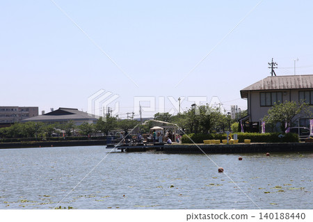 Rengeji Pond Park, Rengeji Pond, Fujieda City, Shizuoka Prefecture, Tokai Region, A paradise of flowers, water, birds, and smiles, Lotus, Rengejiike Rengeji Pond Park, Rengeji Pond, Fujieda City, Shizuoka Prefecture, Tokai Region, A paradise of flowers, water, birds, and smiles, Lotus, Rengejiike 140188440