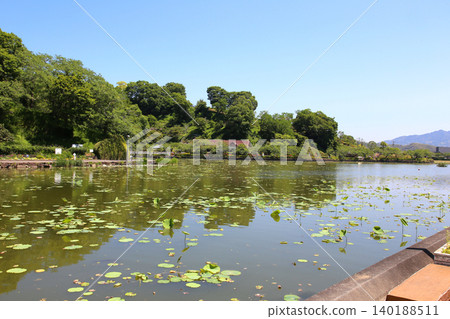 蓮華寺池公園,蓮華寺池,靜岡縣藤枝市,東海地區,花、水、鳥、笑的天堂,蓮花,蓮花池 蓮華寺池公園,蓮華寺池,靜岡縣藤枝市,東海地區,花、水、鳥、笑的天堂,蓮花,蓮花池 140188511