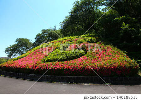 蓮華寺池公園,蓮華寺池,靜岡縣藤枝市,東海地區,花、水、鳥、笑的天堂,蓮花,蓮花池 蓮華寺池公園,蓮華寺池,靜岡縣藤枝市,東海地區,花、水、鳥、笑的天堂,蓮花,蓮花池 140188513