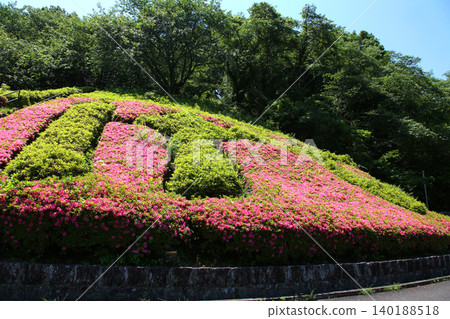 Rengeji Pond Park, Rengeji Pond, Fujieda City, Shizuoka Prefecture, Tokai Region, A paradise of flowers, water, birds, and smiles, Lotus, Rengejiike Rengeji Pond Park, Rengeji Pond, Fujieda City, Shizuoka Prefecture, Tokai Region, A paradise of flowers, water, birds, and smiles, Lotus, Rengejiike 140188518