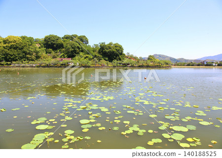 蓮華寺池公園，蓮華寺池，靜岡縣藤枝市，東海地區，花、水、鳥、笑的天堂，蓮花，蓮花池 140188525