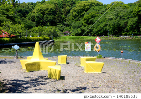 Rengeji Pond Park, Rengeji Pond, Fujieda City, Shizuoka Prefecture, Tokai Region, A paradise of flowers, water, birds, and smiles, Lotus, Rengejiike 140188533