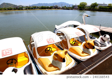 Rengeji Pond Park, Rengeji Pond, Fujieda City, Shizuoka Prefecture, Tokai Region, A paradise of flowers, water, birds, and smiles, Lotus, Rengejiike Rengeji Pond Park, Rengeji Pond, Fujieda City, Shizuoka Prefecture, Tokai Region, A paradise of flowers, water, birds, and smiles, Lotus, Rengejiike 140188543