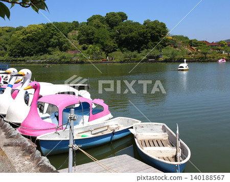 Rengeji Pond Park, Rengeji Pond, Fujieda City, Shizuoka Prefecture, Tokai Region, A paradise of flowers, water, birds, and smiles, Lotus, Rengejiike 140188567