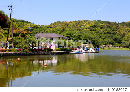 Rengeji Pond Park, Rengeji Pond, Fujieda City, Shizuoka Prefecture, Tokai Region, A paradise of flowers, water, birds, and smiles, Lotus, Rengejiike Rengeji Pond Park, Rengeji Pond, Fujieda City, Shizuoka Prefecture, Tokai Region, A paradise of flowers, water, birds, and smiles, Lotus, Rengejiike 140188617
