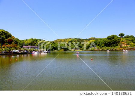 蓮華寺池公園,蓮華寺池,靜岡縣藤枝市,東海地區,花、水、鳥、笑的天堂,蓮花,蓮花池 蓮華寺池公園,蓮華寺池,靜岡縣藤枝市,東海地區,花、水、鳥、笑的天堂,蓮花,蓮花池 140188621