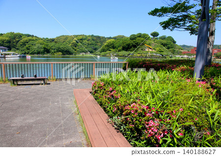 Rengeji Pond Park, Rengeji Pond, Fujieda City, Shizuoka Prefecture, Tokai Region, A paradise of flowers, water, birds, and smiles, Lotus, Rengejiike Rengeji Pond Park, Rengeji Pond, Fujieda City, Shizuoka Prefecture, Tokai Region, A paradise of flowers, water, birds, and smiles, Lotus, Rengejiike 140188627