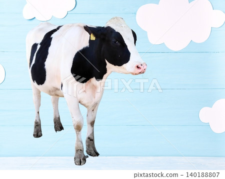 cow cow 140188807
