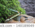 京都府一休寺的水池 140189049