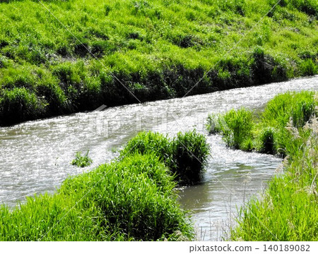 The spring river and the shimmering surface of the water 140189082